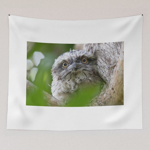Item preview, Safe designed and sold by byronbackyard.