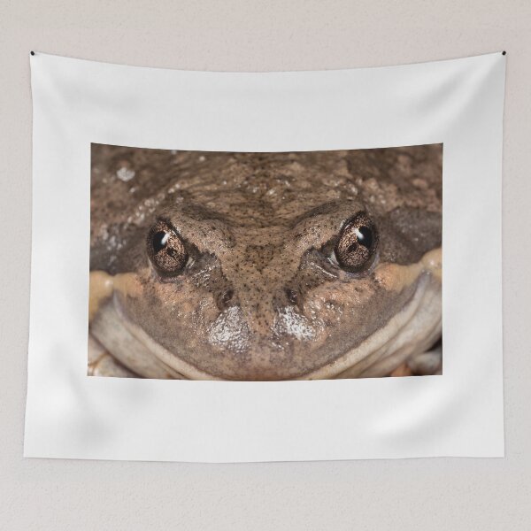 Item preview, Happy Frog designed and sold by Natalie Ord.
