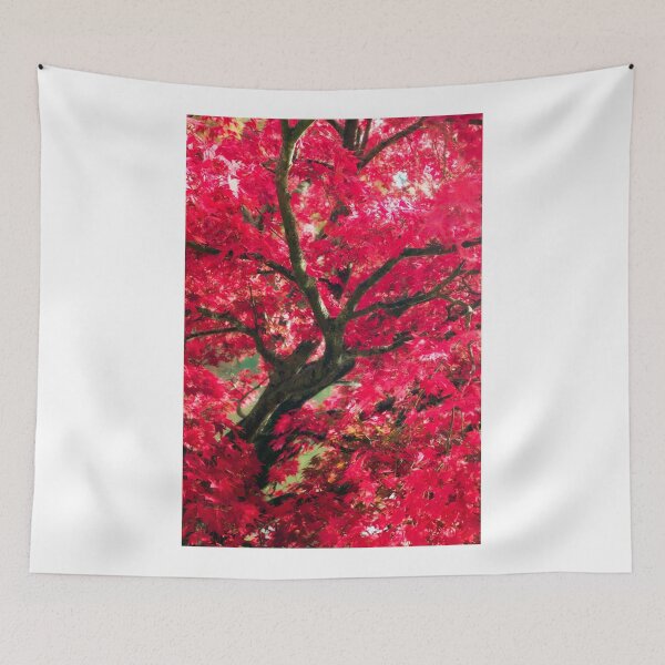 Item preview, Japanese acer designed and sold by David Tovey.