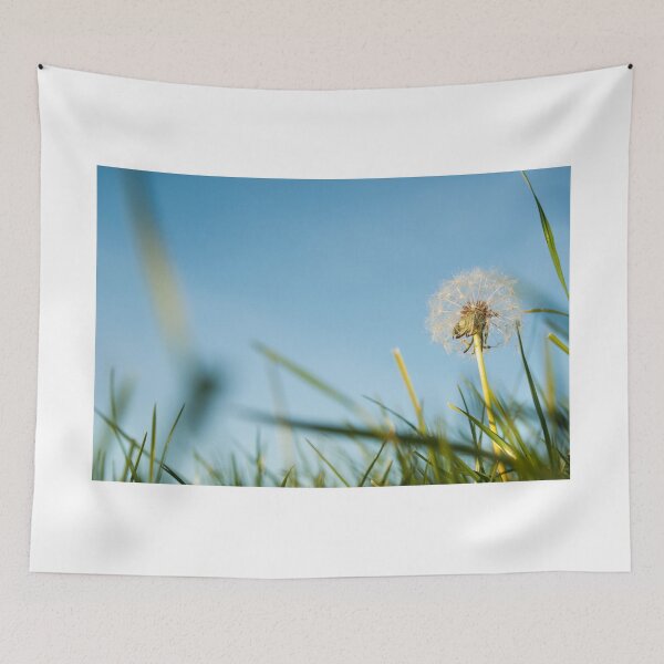 Item preview, Dandelion in field. designed and sold by Brian Scantlebury.