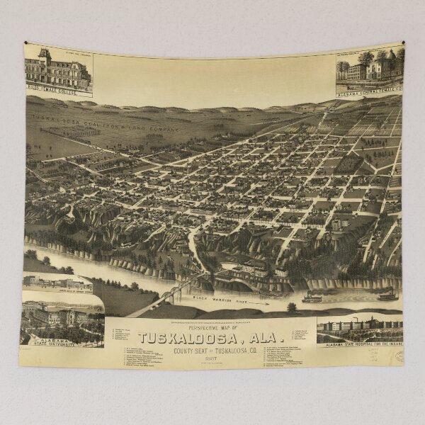 Item preview, Perspective Map of Tuskaloosa Alabama (1887) designed and sold by allhistory.