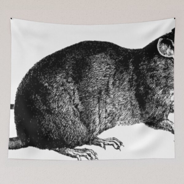 Item preview, Rat (Ben) designed and sold by chantelle bezant.