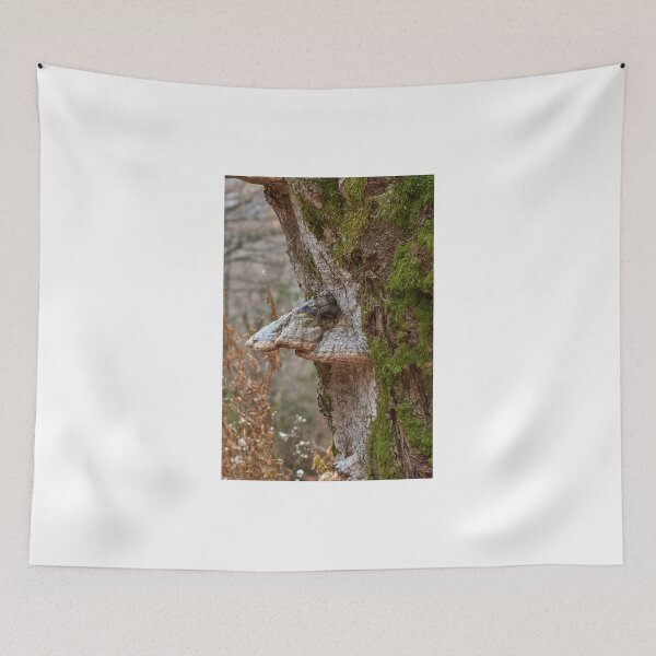 Item preview, Woodland creatures designed and sold by Mark Bangert.