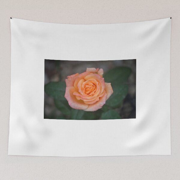 Item preview, BUTTER CREAM ROSE designed and sold by JAYMILO.