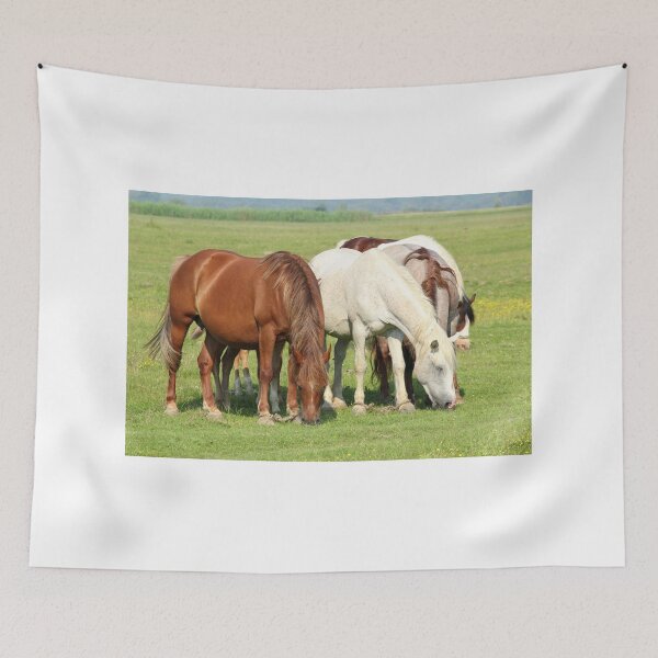 Item preview, horses in pasture designed and sold by goceris.