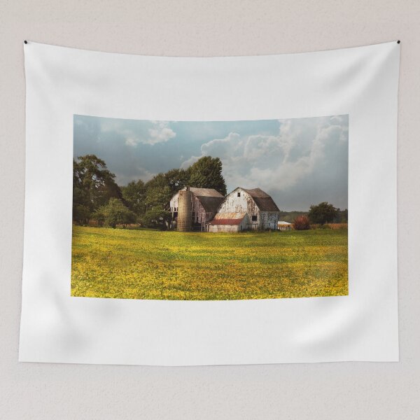 Item preview, Farm - Ohio - Broken dreams designed and sold by Mike Savad Photography.