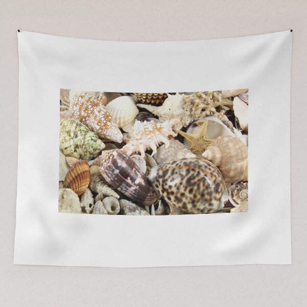 Item preview, shell background designed and sold by goceris.