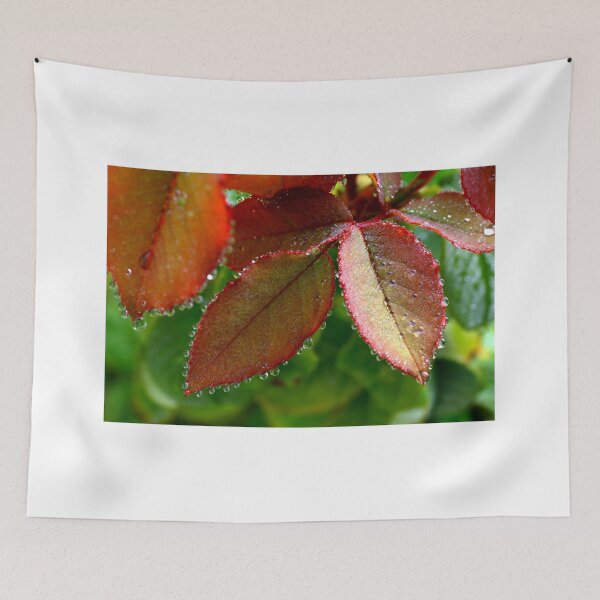 Item preview, Dewdrops designed and sold by annalisa56.