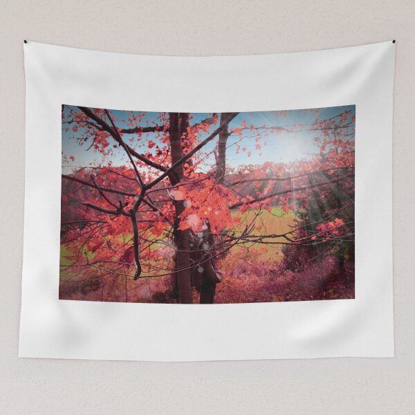 Item preview, forest designed and sold by mark ashkenazi.
