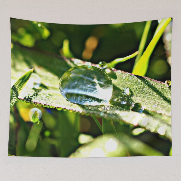 Item preview, Dew Drop designed and sold by Paul Chubb.