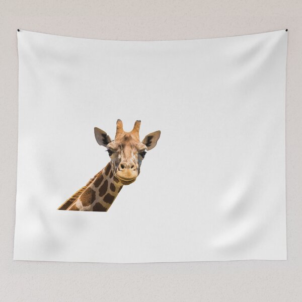 Item preview, Giraffe head isolated on white background designed and sold by Stanciuc.