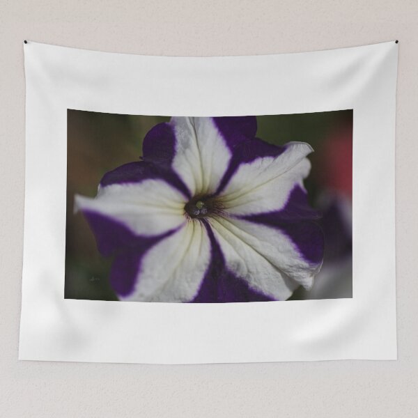 Item preview, Hearts Of Petunia  designed and sold by Joy Watson - Natural Light Photography .