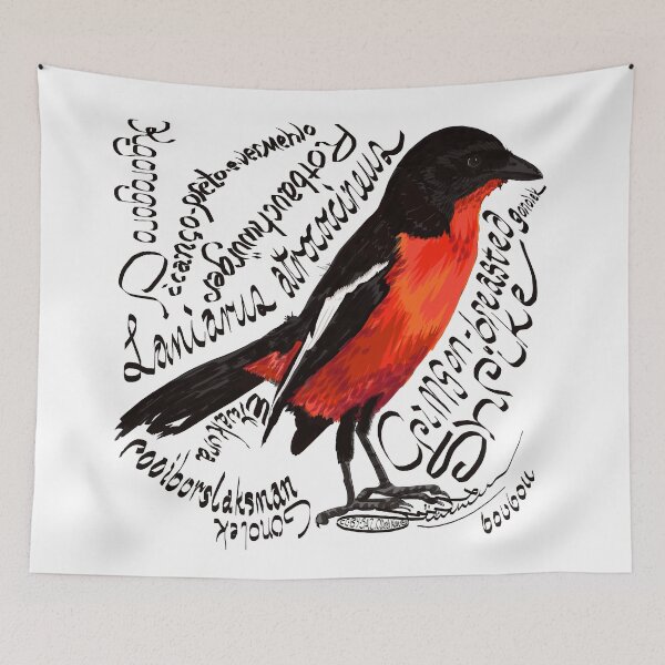 Item preview, Crimson-breasted Gonolek, Rooiborslaksman designed and sold by michdevilish.