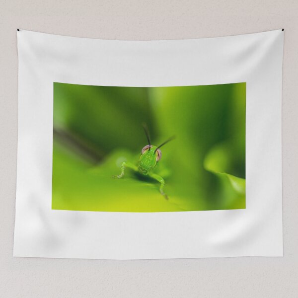 Item preview, Smiling Grasshopper designed and sold by Keith's Photo Artistry.