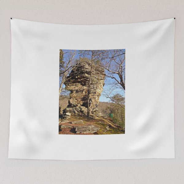 Item preview, Storming The Castle  designed and sold by Paul Lubaczewski.