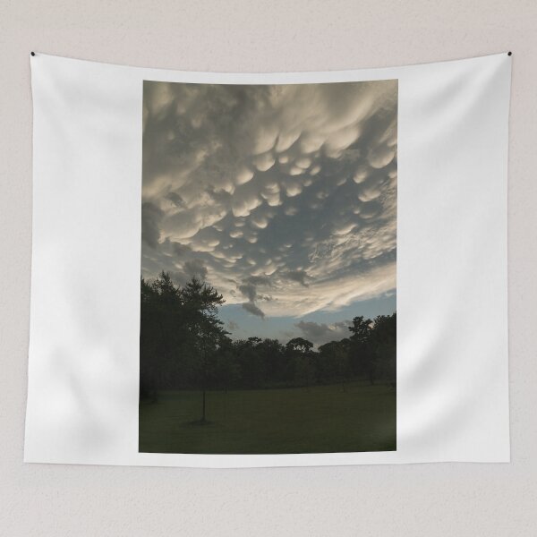 Item preview, Summer Storm Aftermath - Extraordinary Mammatus Clouds designed and sold by Georgia Mizuleva.