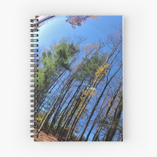 Item preview, Autumn in the Rear Window designed and sold by Gilda Axelrod.
