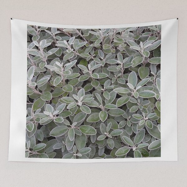 Item preview, Leaves of grey designed and sold by armadillozenith.