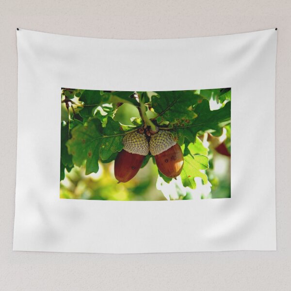 Item preview, The Acorn Couple designed and sold by Mezei József Tibor.