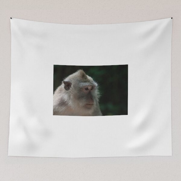 Item preview, Wildlife in Asia designed and sold by ModelPixs.