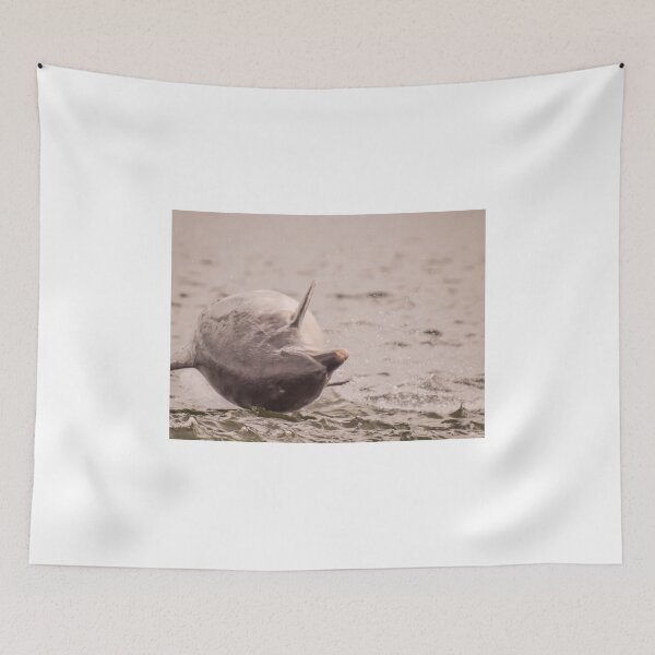 Item preview, Wild Bottle Nose Dolphin breaching for joy designed and sold by chanonry.