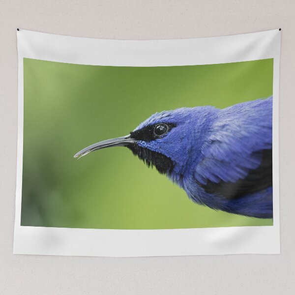 Aperçu de l'œuvre Shining Honeycreeper créée et vendue par WorldDesign.