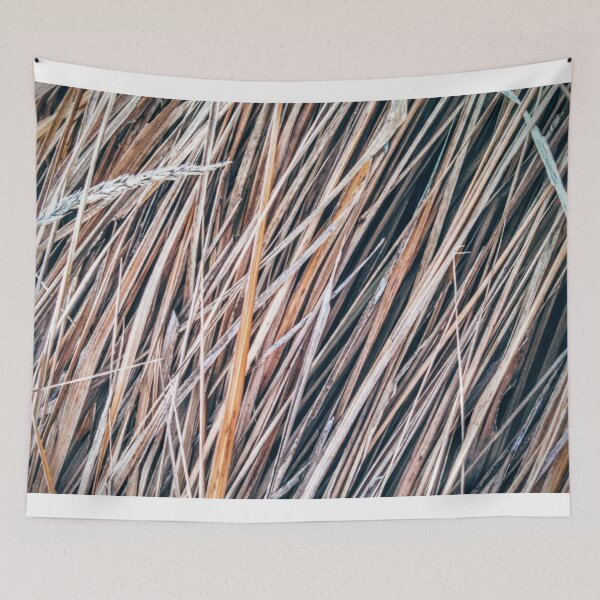Item preview, Grass Studies, Winter Wind II designed and sold by brusling.