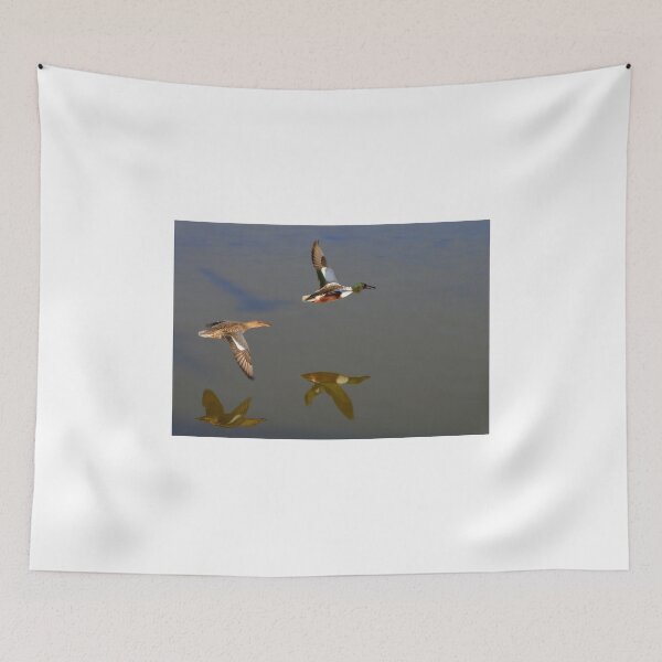 Item preview, Nothern Shoveler designed and sold by Eleu Tabares.