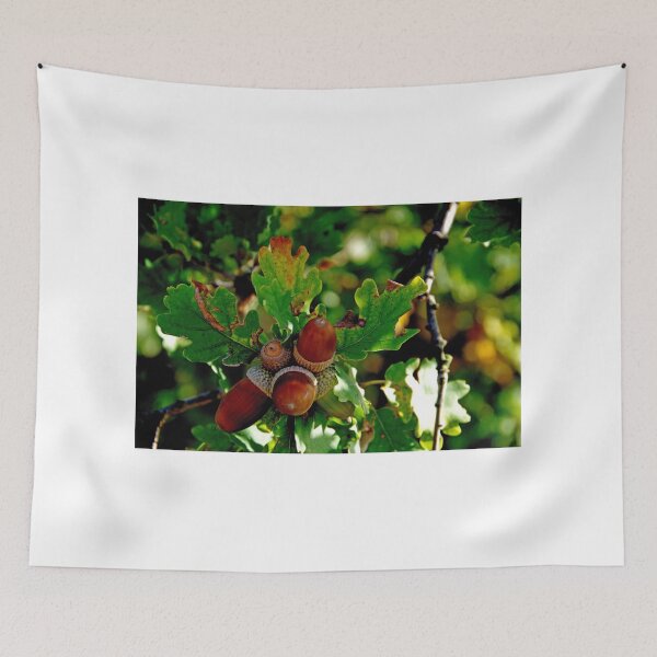 Item preview, The Acorn Family designed and sold by Mezei József Tibor.