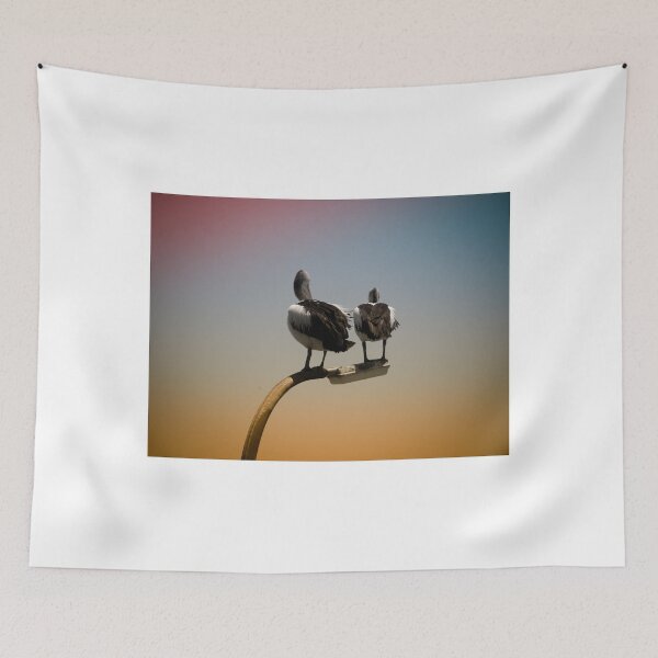 Item preview, Australian Pelican - the largest pelican in the world designed and sold by RGKphotos.
