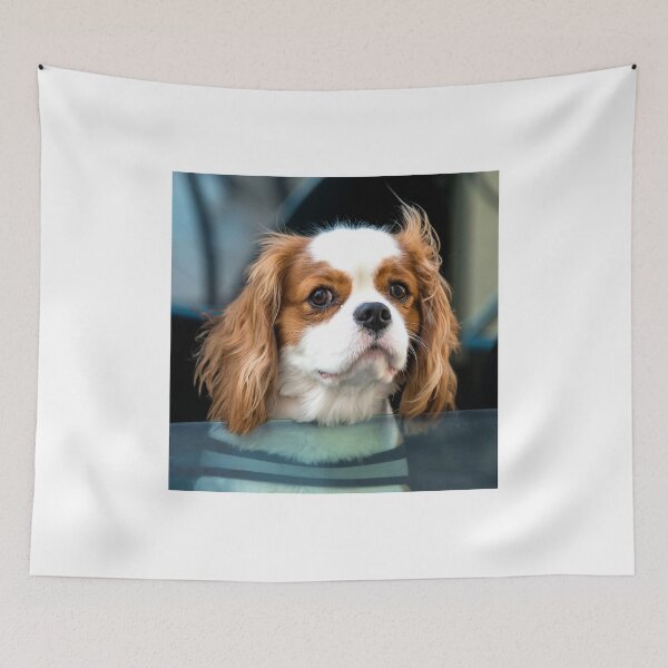 Item preview, Hello Mr Doggy  designed and sold by hawkie.
