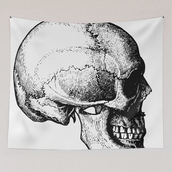Item preview, skull (4) designed and sold by chantelle bezant.