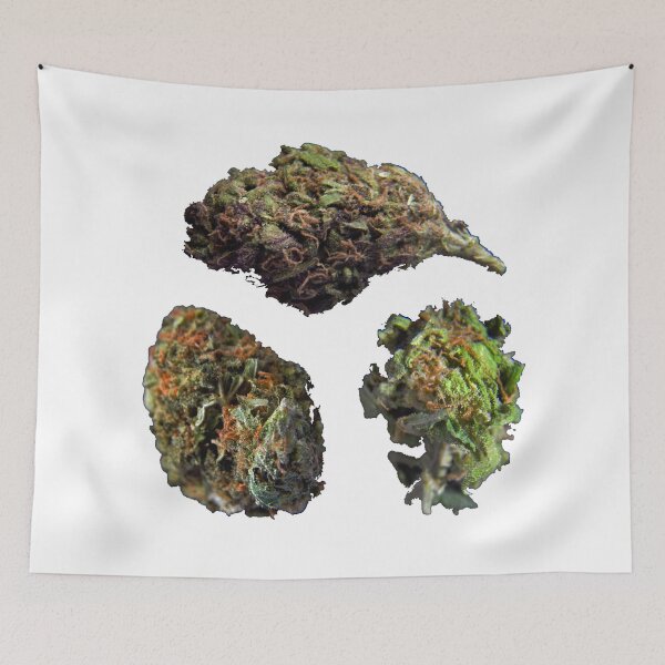 Item preview, 420 Buds #76 designed and sold by sensameleon.