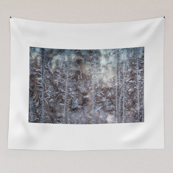 Item preview, Ice figures in window designed and sold by Forestpictures.