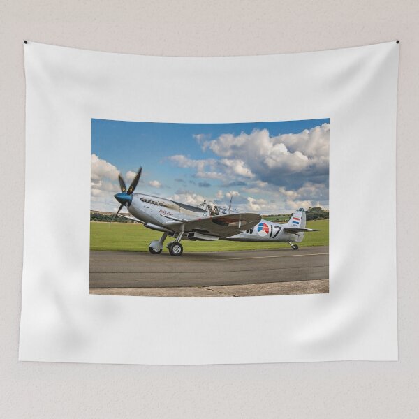 Item preview, Spitfire LF.IXc MK732/3W-17 PH-OUQ "Polly Grey" taxying designed and sold by Colin Smedley.