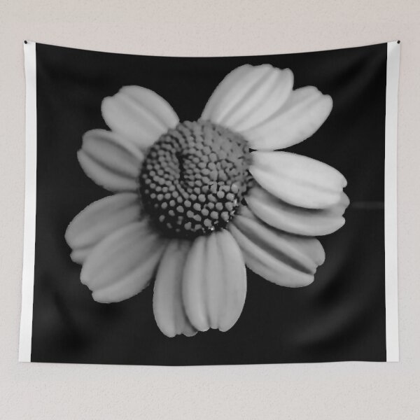 Item preview, B/W Daisy designed and sold by ADM Photography.