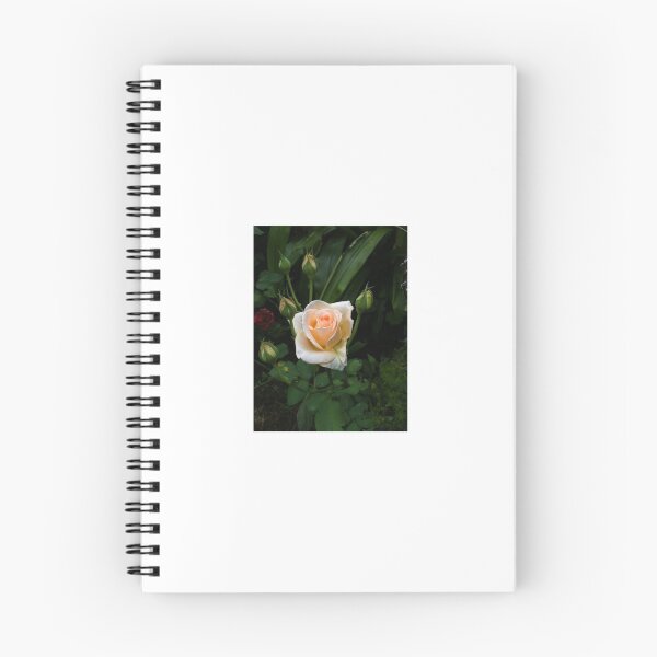 Item preview, Sweet Rose designed and sold by saqqaraart.
