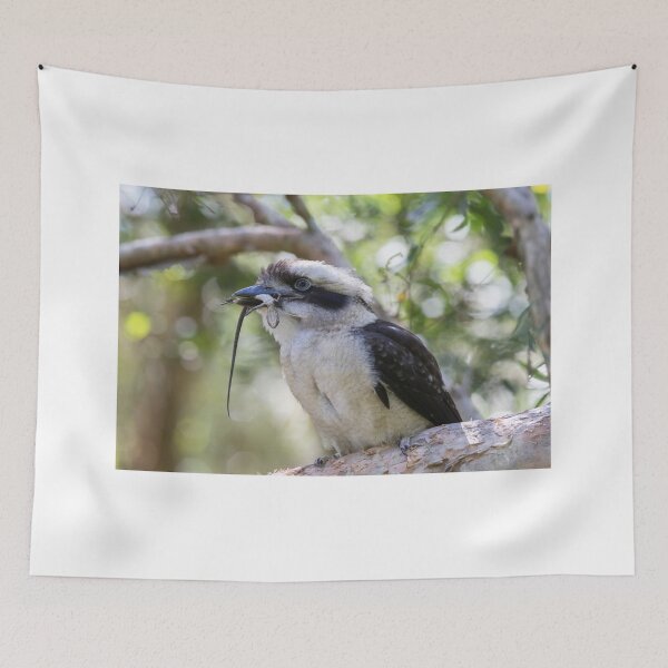 Item preview, Kooka Snack Time designed and sold by byronbackyard.