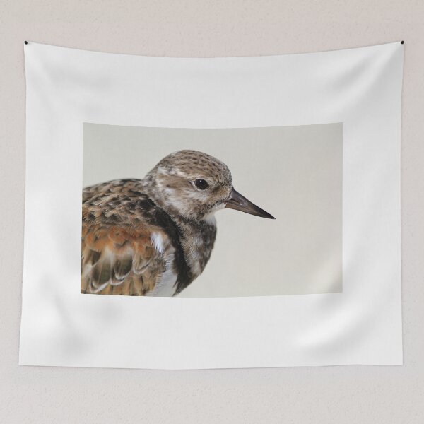 Item preview, Ruddy Turnstone designed and sold by Heidi Ingram.