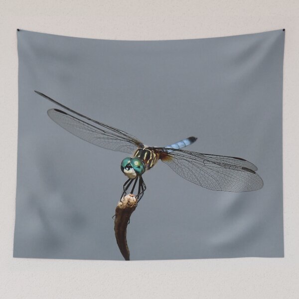 Item preview, Dragon Portrait designed and sold by Bob Hardy.