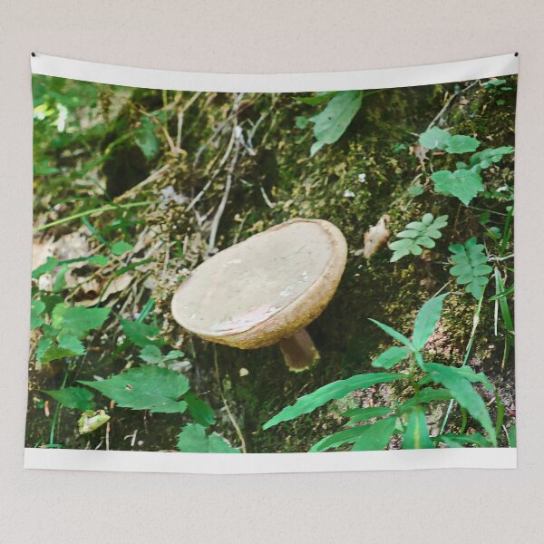Item preview, Mushroom growing on a Tree  designed and sold by ADM  Photography.
