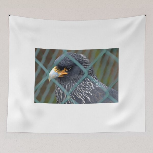 Item preview, Jailbird Caracara.  Devon UK designed and sold by lynn carter.