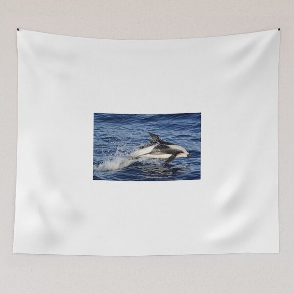 Item preview, Hourglass dolphin designed and sold by Heidi Ingram.