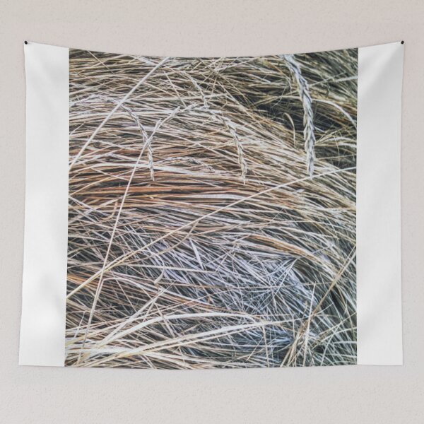 Item preview, Grass Studies, Winter Seedheads designed and sold by brusling.