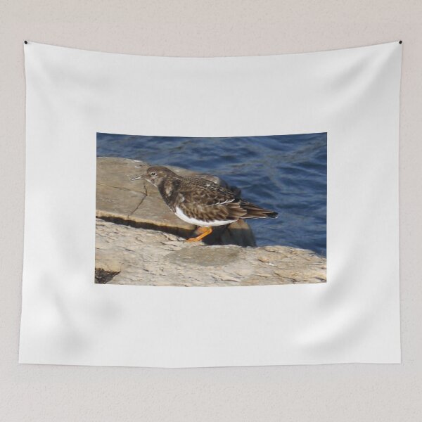 Item preview, Turnstone Bird at Lyme Harbour ,,Dorset UK designed and sold by lynn carter.