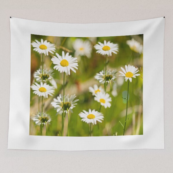 Item preview, Daisies Galore 2014-1 designed and sold by Thomasyoung.