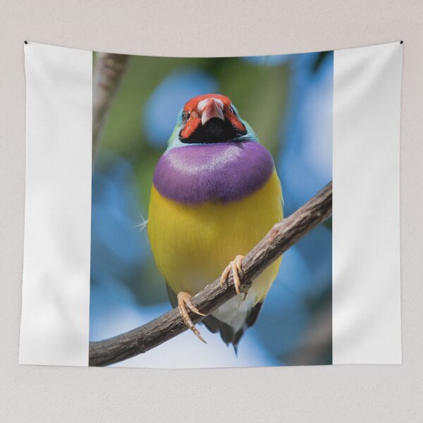 Item preview, The Gouldian Finch Look designed and sold by WorldDesign.