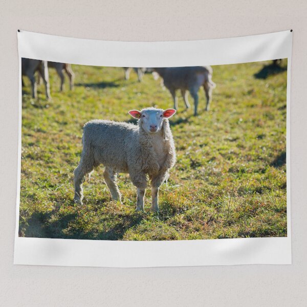 Item preview, Sheep designed and sold by Mats Silvan.
