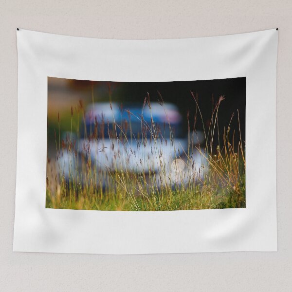 Item preview, Rally car designed and sold by Srdjan Petrovic.