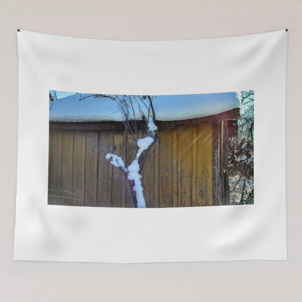 Item preview, Cisco Shack in the Snow II designed and sold by brusling.
